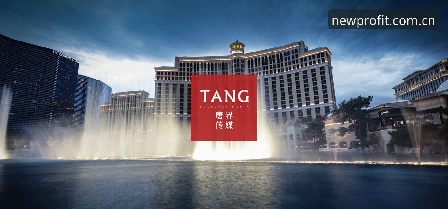 新利平台官方网站入口 深度揭秘:新利平台官方网站入口背后的安全逻辑与用户体验真相